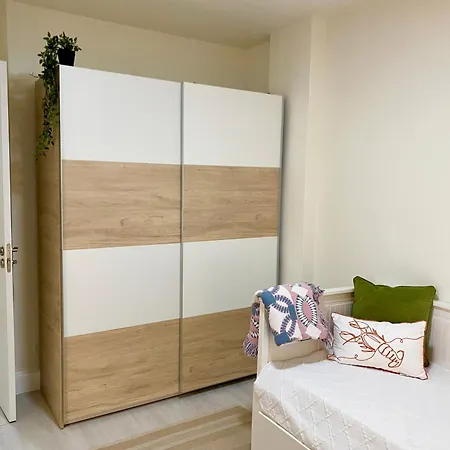 Sol Y Sombra 코라레호