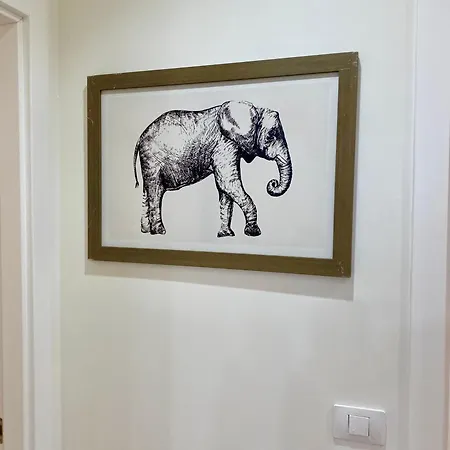 Sol Y Sombra * 코라레호